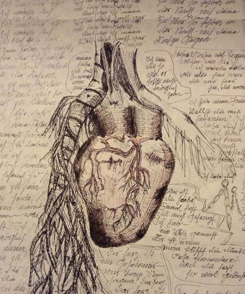 Leonardo da Vinci'nin kalp çizimi-illüstrasyonu